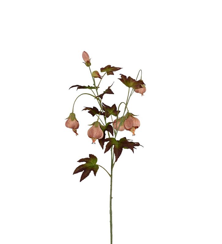 Blomsterlønn