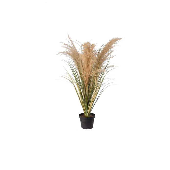 Hovedbilde Mr. plant gress natur